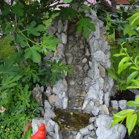 Apartament 